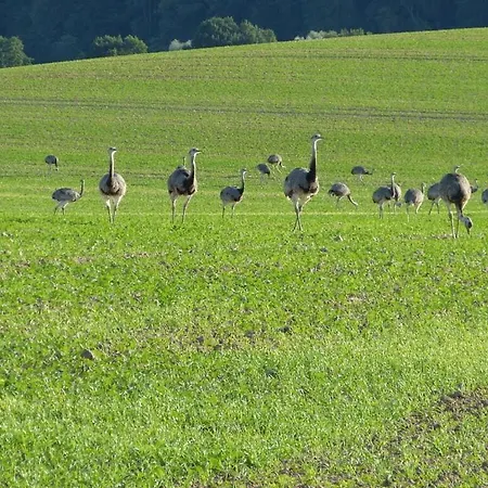 Aan De Pastorie * Ziethen (Schleswig-Holstein)