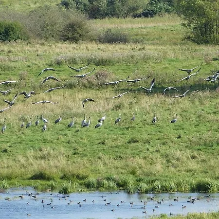 Aan De Pastorie *
