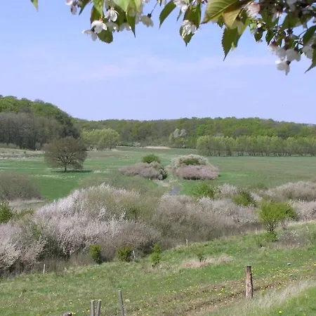 Aan De Pastorie Holiday home Ziethen (Schleswig-Holstein)